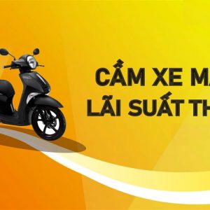 Cac Loai Giay To Cam Do Xe May Khong Chinh Chu 4