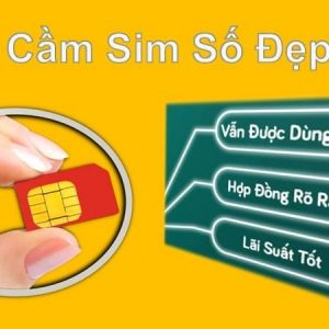 Cầm Sim Số Đẹp  (Cầm Sim Lãi Thấp) . Tại Các Quận Huyện Hà Nội ,Cầm Sim điện Thoại , Cầm Sim Số đẹp Online