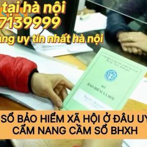 526753303 1277793447095546 1176631390434566957 N